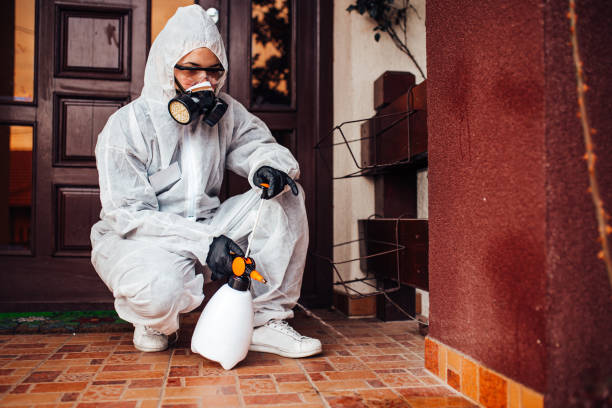Reliable Cockroach Control contractor in Eupora, MS by Nex Pest Control